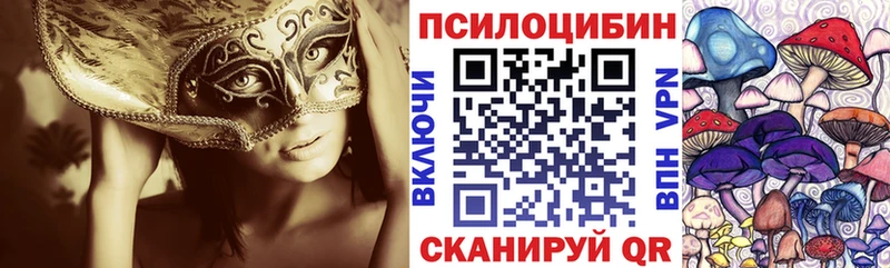 Псилоцибиновые грибы Psilocybine cubensis  Кукмор 